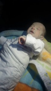 'Baby wounded in regime warplanes missiles fired on Kafr Hamra town in Aleppo governorate, causing a massacre, December 14.' (via SNN)