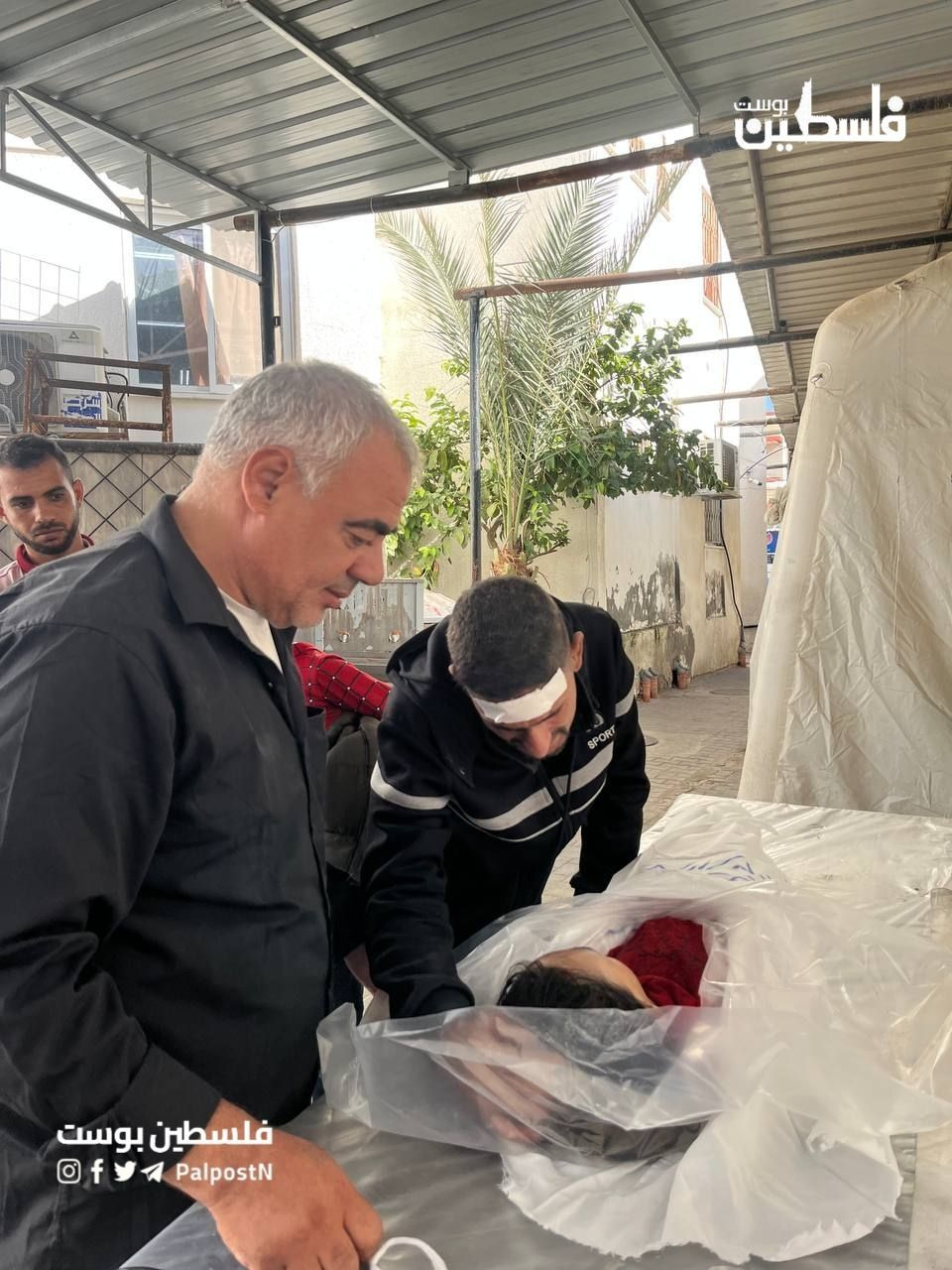Source: Nabd News