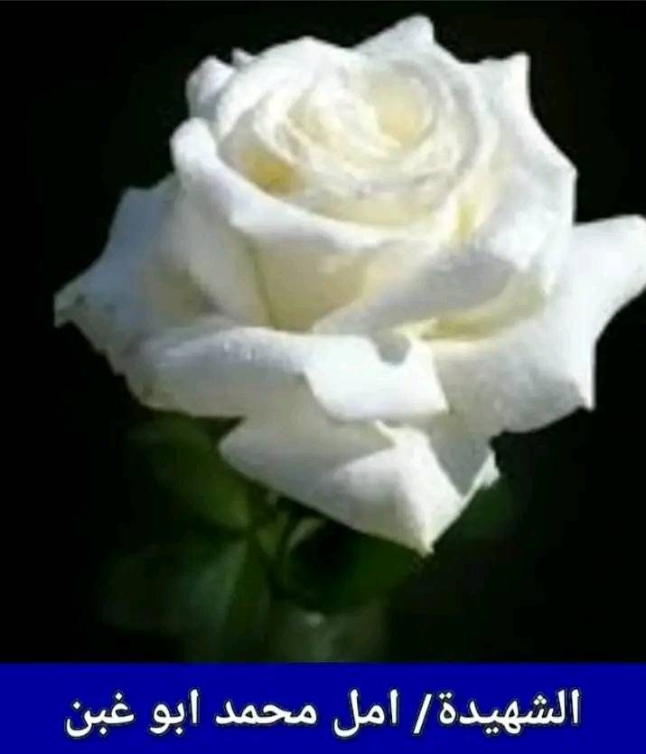 ام فارس