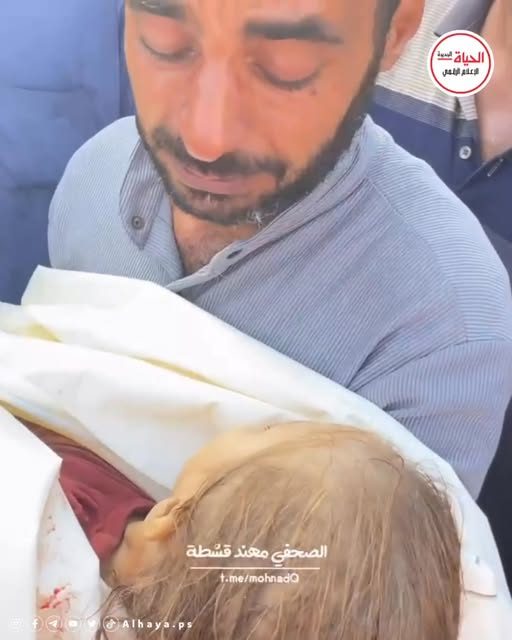 الحياة الجديدة - alhaya.ps