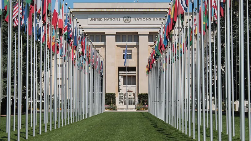United Nations urges states to support casualty recording