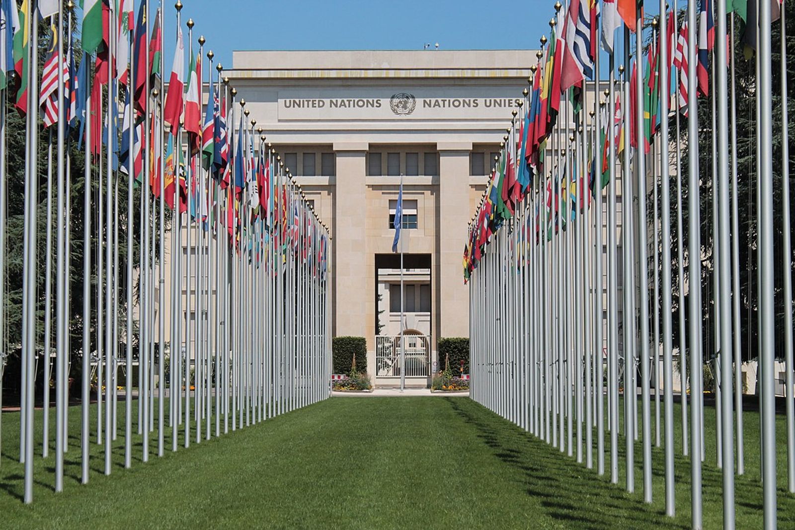 United Nations urges states to support casualty recording