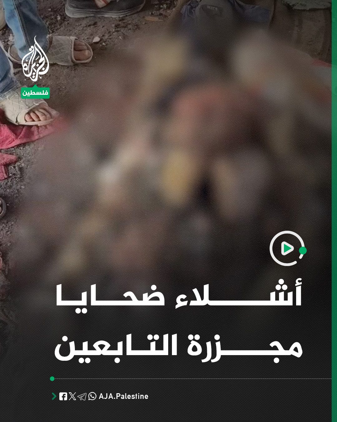 الجزيرة - فلسطين