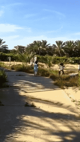 Video of the children playing in the days before the strike (Courtesy of the Hamedi family)