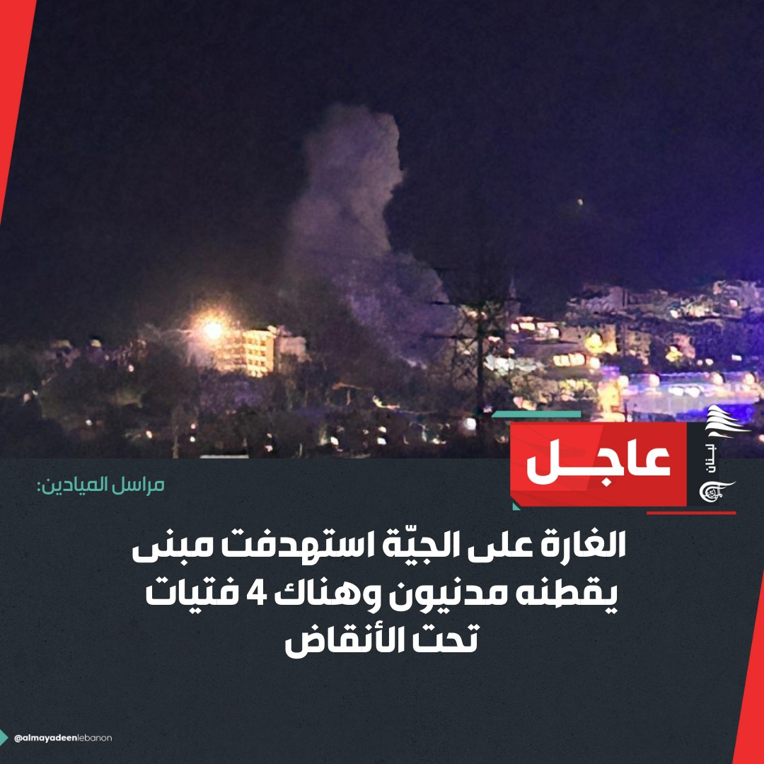 الميادين - لبنان