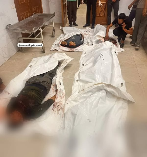 مصدر الاخبارية