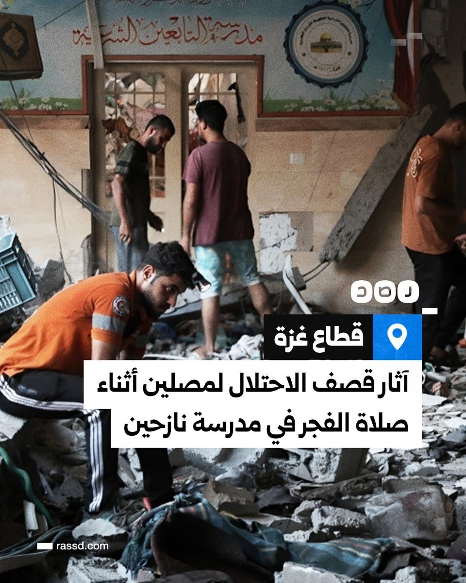شبكة رصد