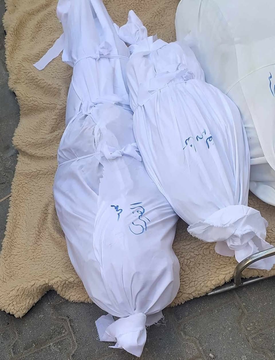 Em Wael
