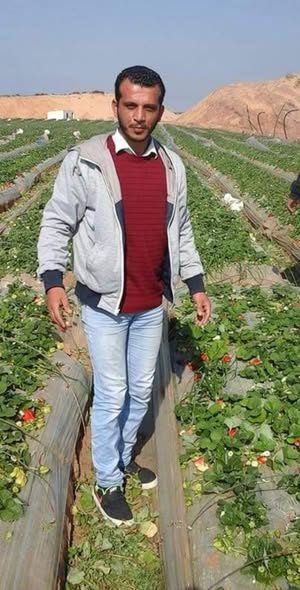 علي ابو يحيى