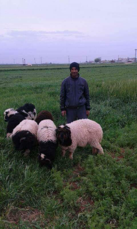 Khaled Soufan