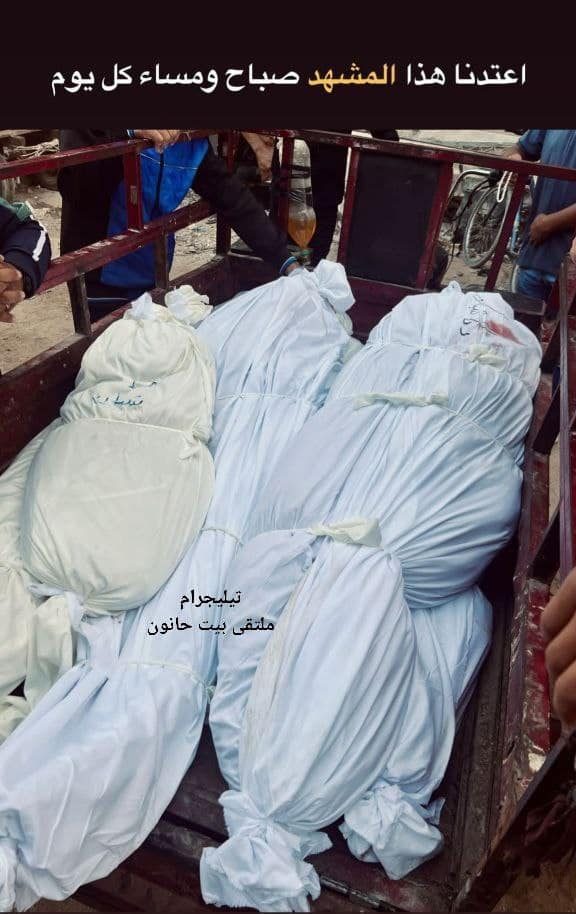 ملتقى عائلة المصري بيت حانون في الوطن والشتات
