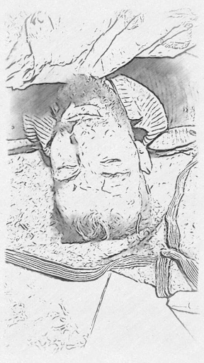 Edited images of the men killed in the bombing of Al-Tuffahiya on October 11, 2021. (Image posted by Abo Fahed Al Salhani via Facebook)