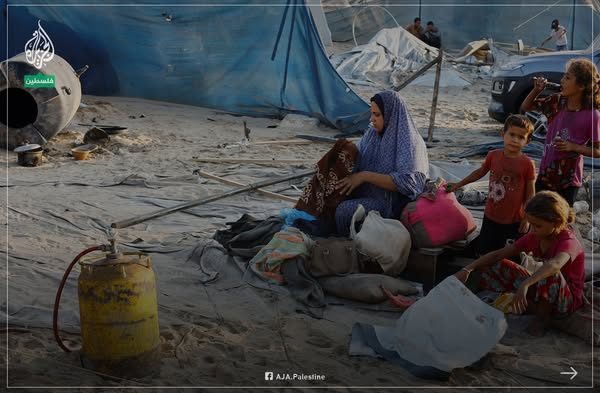 الجزيرة - فلسطين