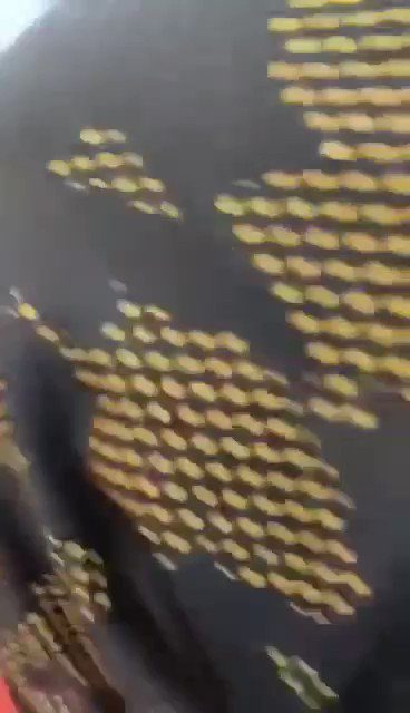 assi_aroq