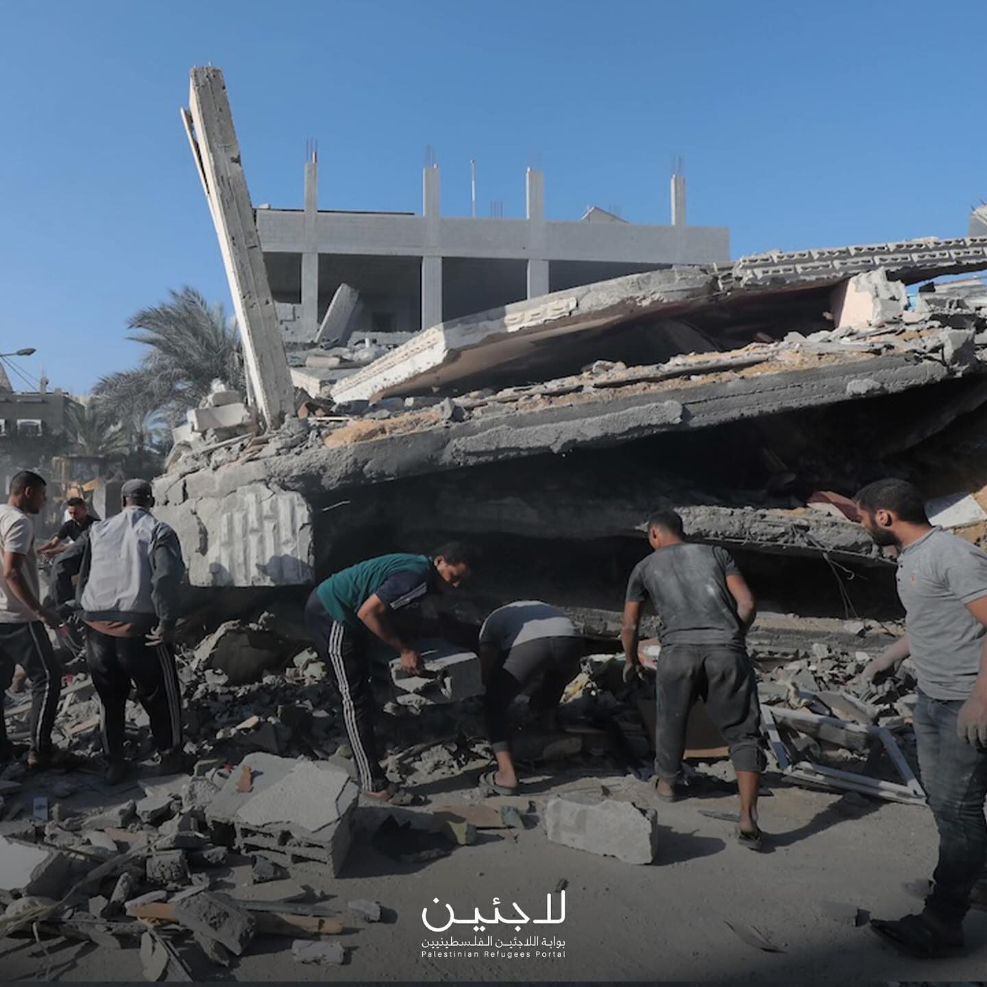 بوابة اللاجئين الفلسطينيين
