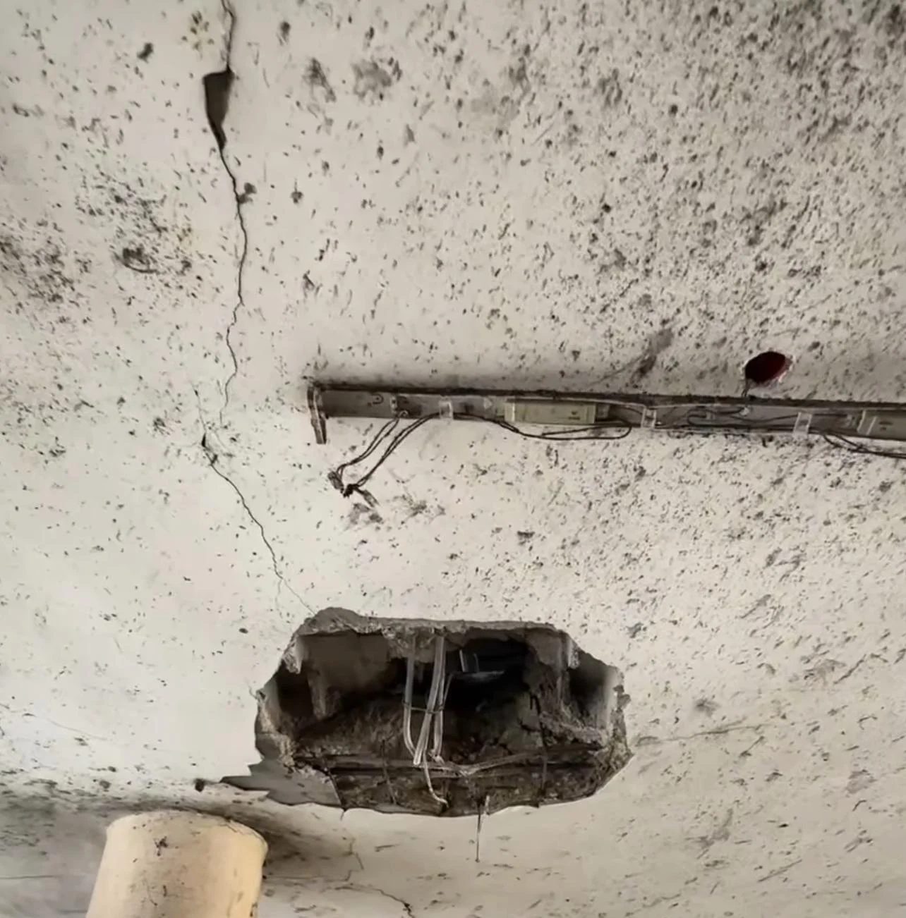 دجانة أبو عيشة