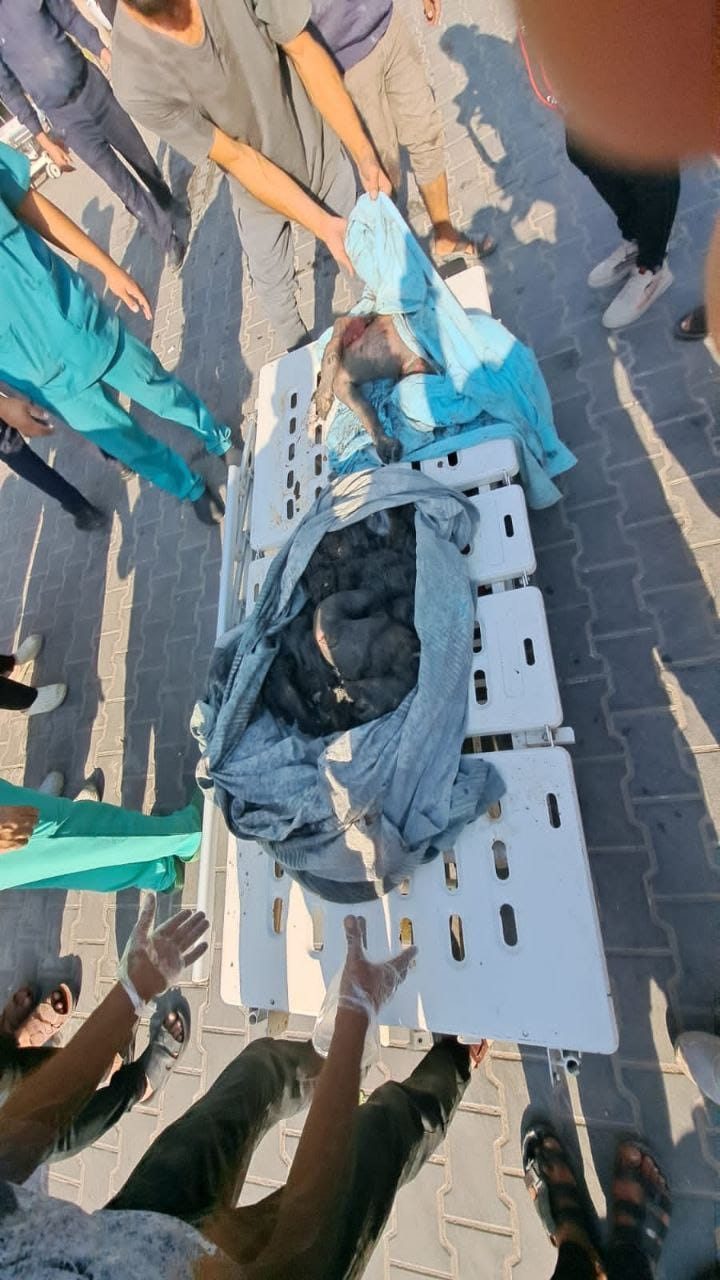 حـمــــــدي الـبـحــــــيـري
