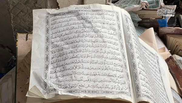 منصة اعلامية محمود أبوزنادة