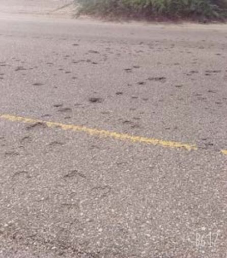 Impact of the strike on the asphalt road. Photo taken by a Mwatana researcher.