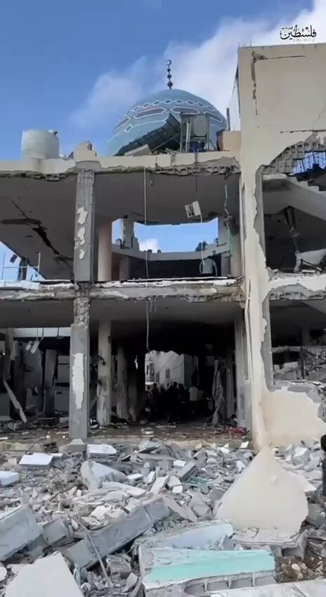 F24online