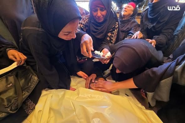 Ramallah News - رام الله الإخباري