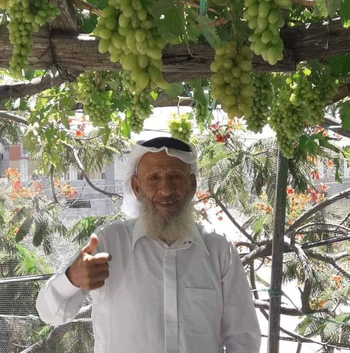 Source: Ibrahim Hajaj