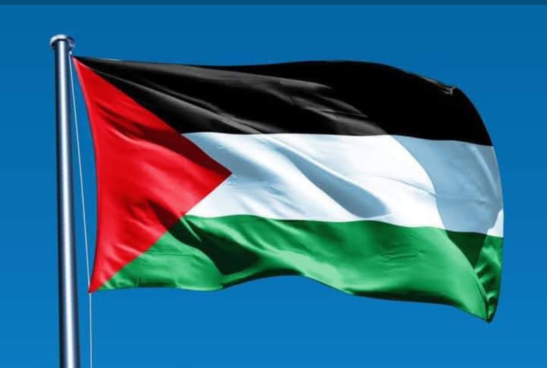 عدنان الفقعاوي الاحتياطي
