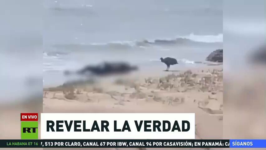 ActualidadRT