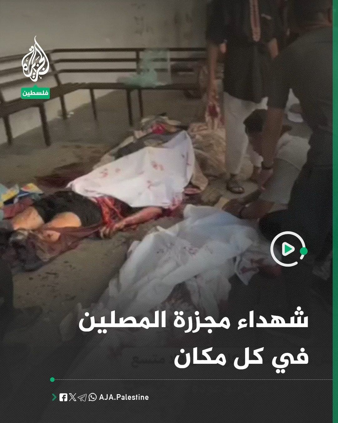 الجزيرة - فلسطين