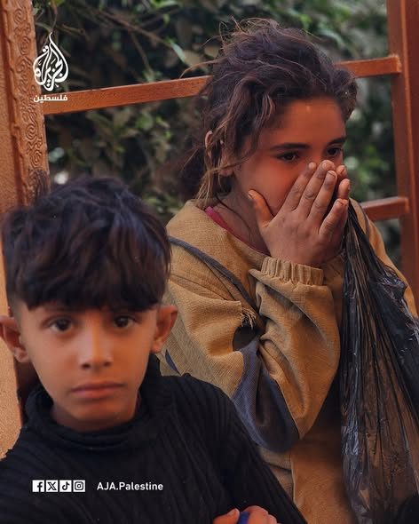 الجزيرة - فلسطين
