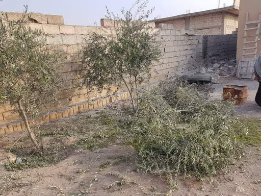 Damage to civilian properties, and trees as a result of alleged Turkish shelling on Ain Issa, Raqqa, Syria on Nov 28th, 2020. (via @HisoEla).