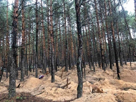 Mass Graves. Source: Pravda.