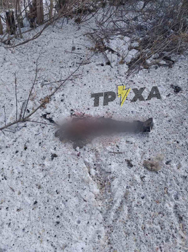 Very graphic image of person killed by alleged Russian shelling of Zolochev on March 10, 2022. (Image posted by Truexanewsua).