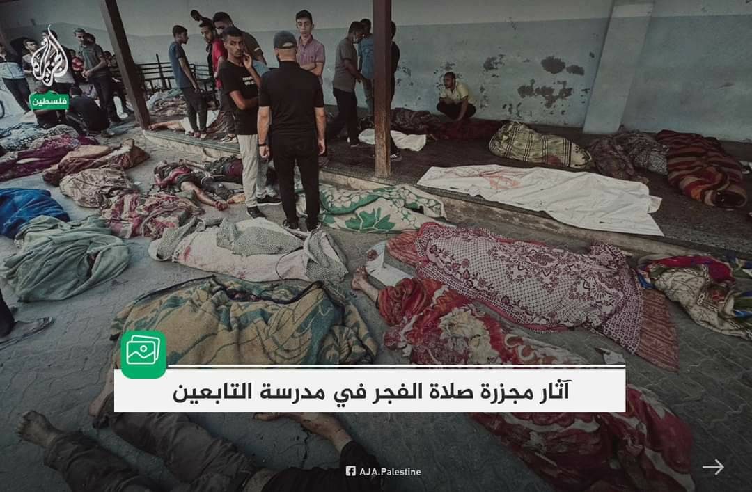 عدسة سوريا