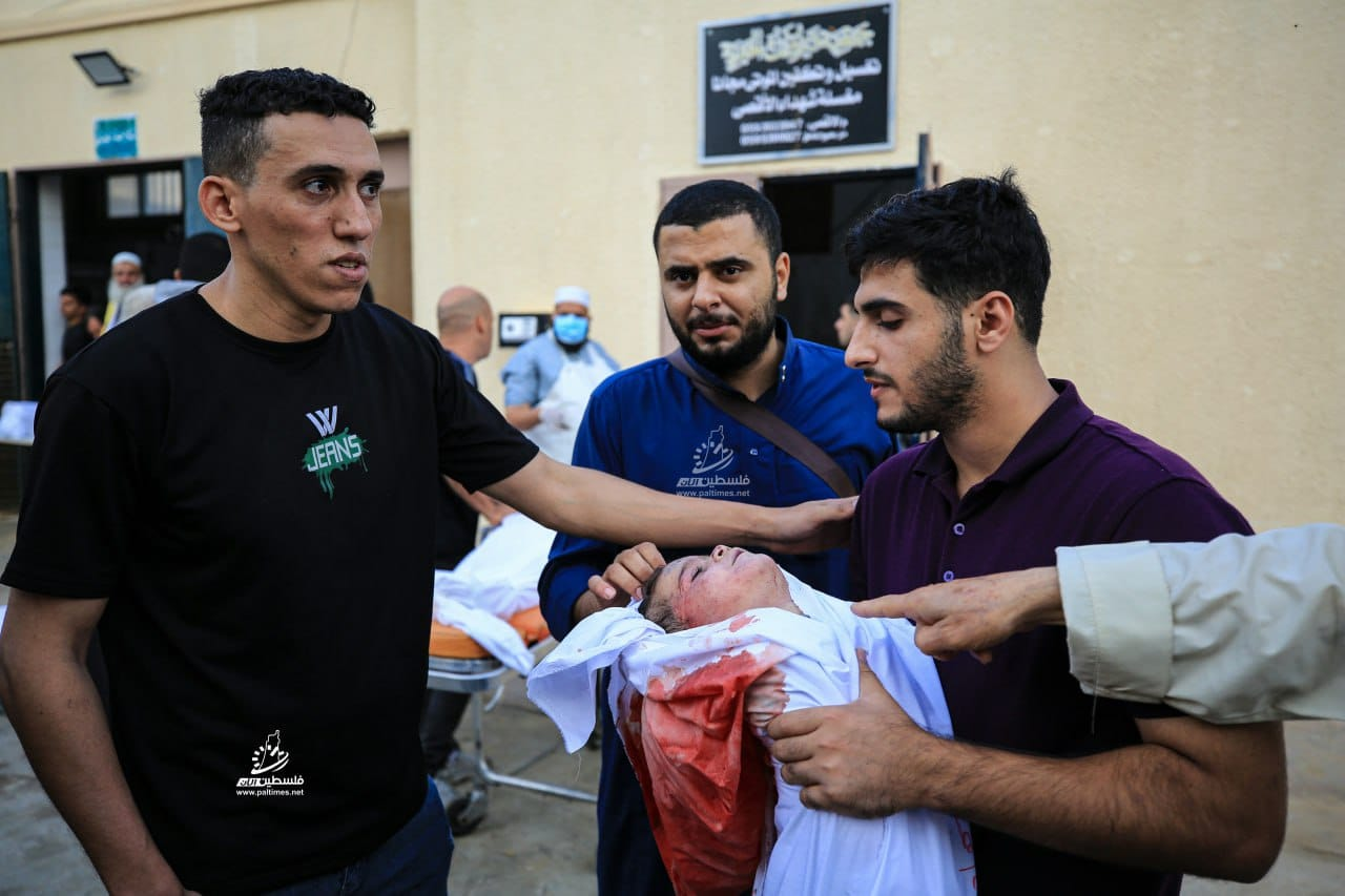 Source: Mahmoud fouly