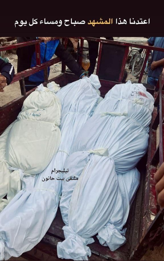 Source: multaqaa eayilat Al Masri bayt hanun fi al watan w al shatat