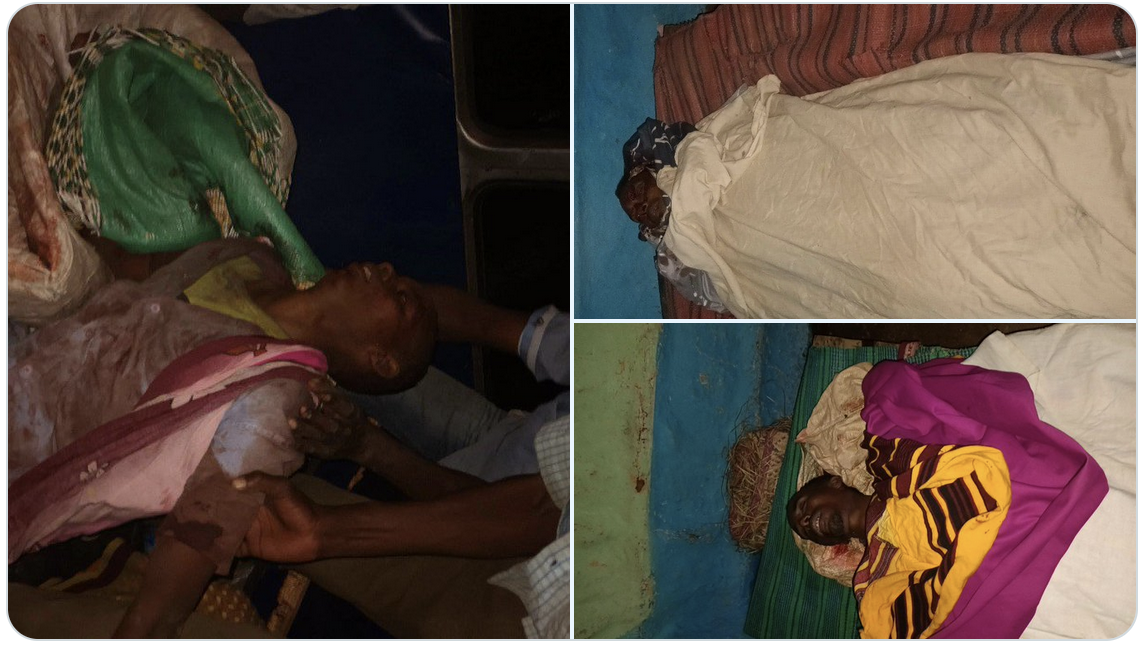 Victims of the alleged US or Somali airstrike on Mubarak on September 9, 2022. (Image posted by Mepa News)