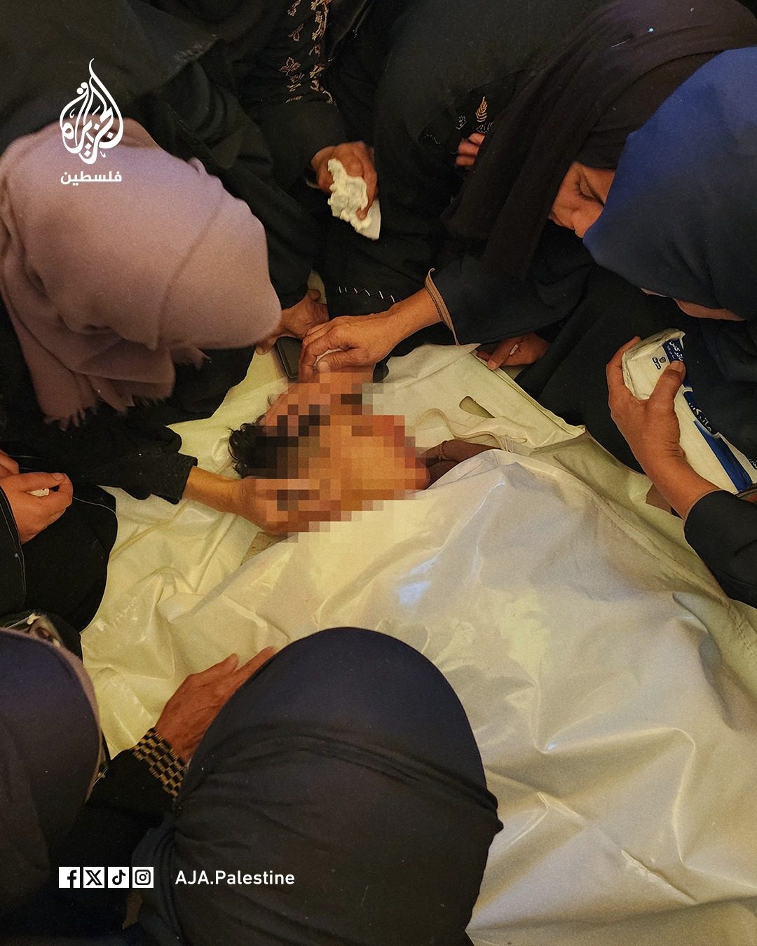 الجزيرة - فلسطين
