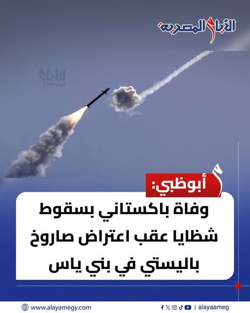 الأيام المصرية