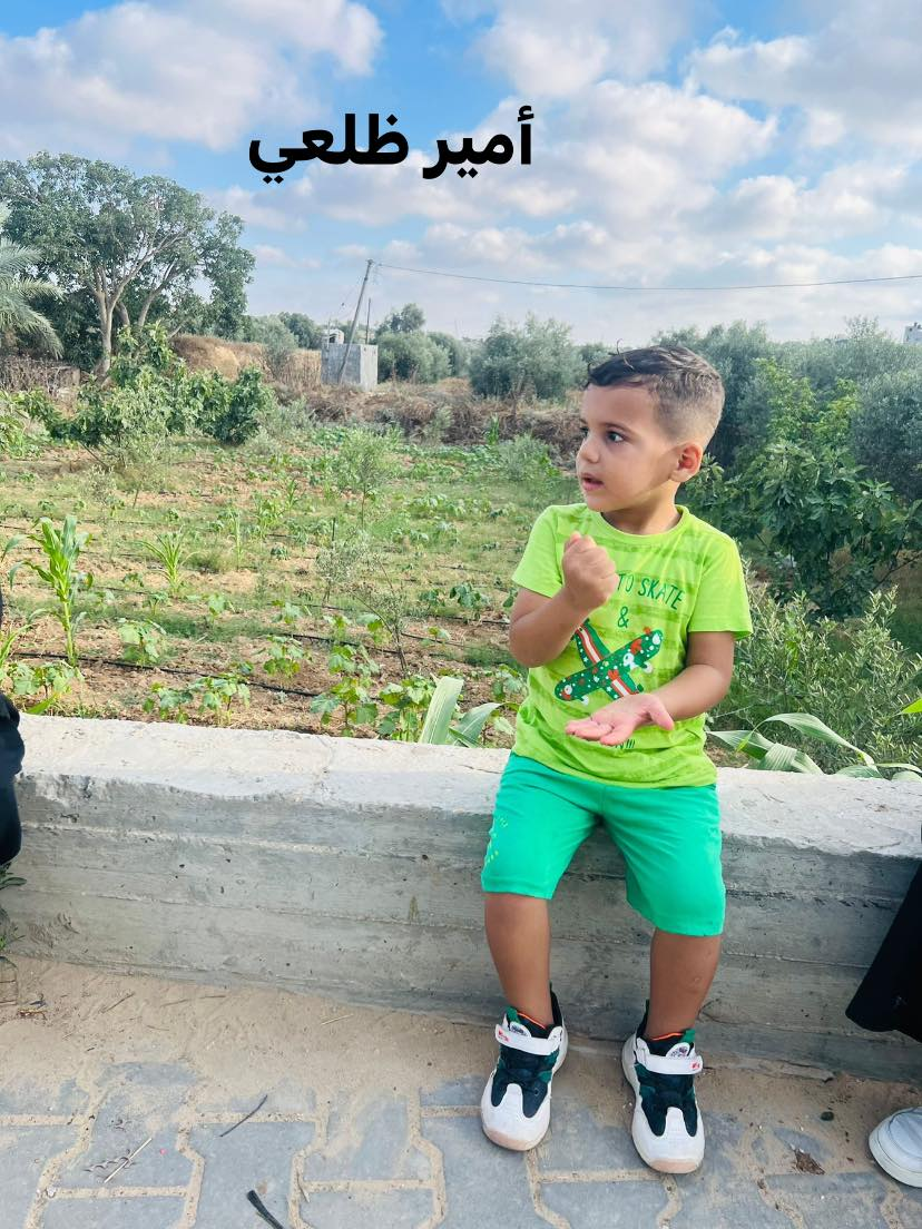 Source: Shadi Al Aydi