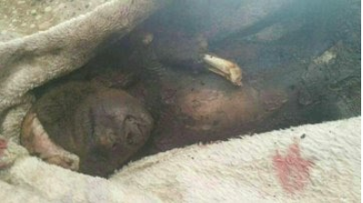 An alleged child casualty of the January 29th 2017 raid (@mazenyemen, January 29th 2017)