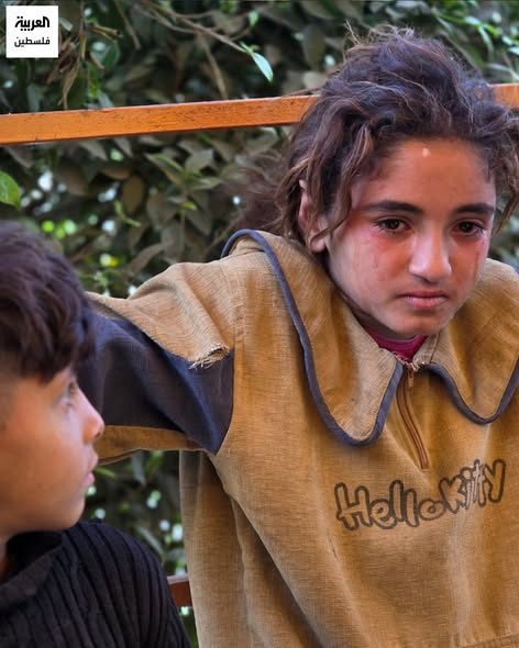 العربية فلسطين Alarabiya Palestine