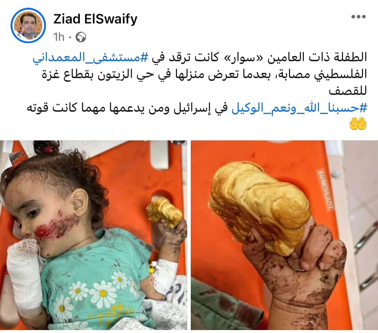 Source: Hanan Faysal