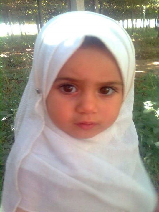 Fatma Hasan Steif (via al Safira News)
