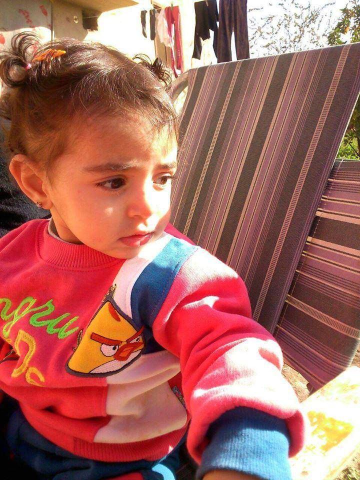 Taybah Haydar al-Esheish, killed in an alleged Russian raid on Hamidiya, Dec 22nd (via SNN)