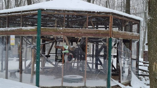 Damage on the grounds of the Ecopark in Dergachivskyi district, Kharkiv on March 8, 2022. (Image posted by Pravda News)