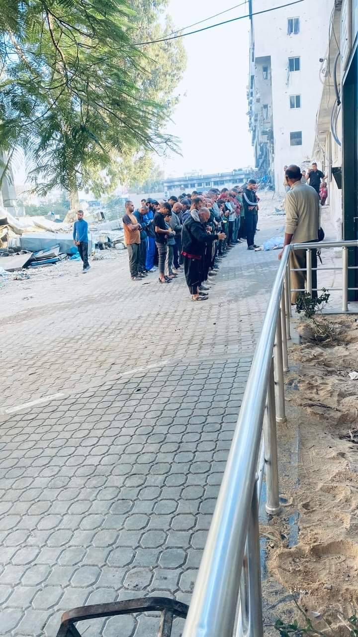 محمد بشير