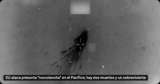 Pajaropolitico