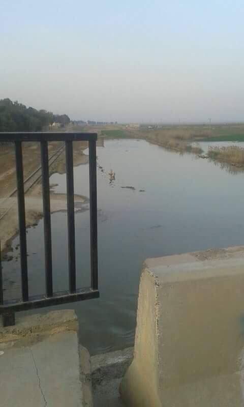 Flooded lands at Salhabiya. Locals said the Coalition killed a civilian who was trying to clear a road (via Raqqa is Being Slaughtered)